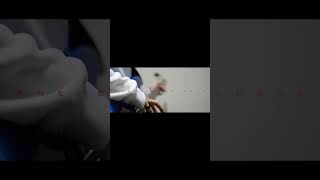 ヨルシカ LIVE TOUR 2025「盗作再演」盗作/創作セトリメドレー Guitar＆Basscover byフクレモ.  #盗作live  #キタニタツヤ【#盗作】【#ヨルシカ】【#盗作再演】