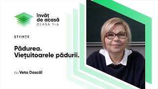  "Pădurea  Vieţuitoarele pădurii"