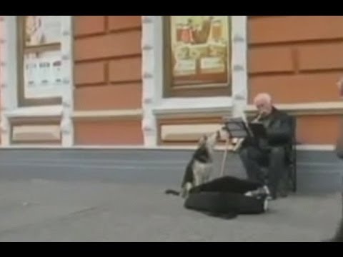 Russia: Dog impresses passersby by singing with his owner