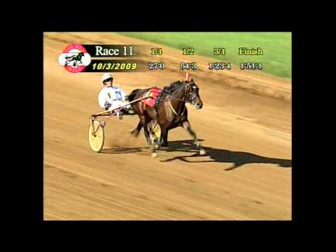 Muscle Hill - Kentucky Futurity Final - 2009-10-03