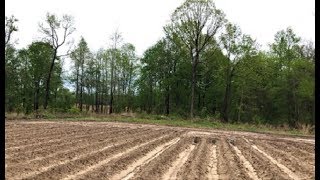 WOW! &quot;Fela&quot; Is Born! ~ 75. Indian Artifacts! APR 2019