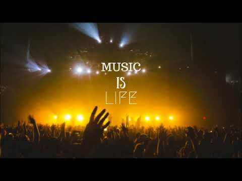 Joyride No Money - Bassjackers vs. Galantis (Miggen Mashup)