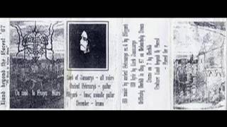 Land Beyond the Forest - Forest Is a Symphony of Light and Colours