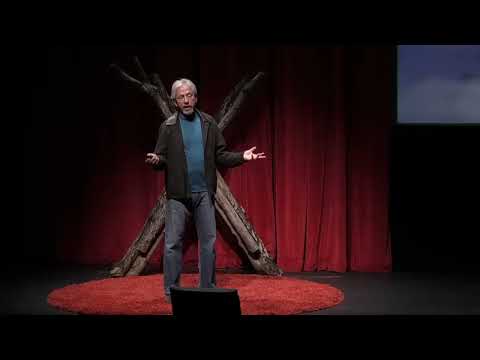 【TEDx】Saving Our Planet: Nature’s Mysteries Revealed Through a Lens | Louie Schwartzberg | TEDxJacksonHole