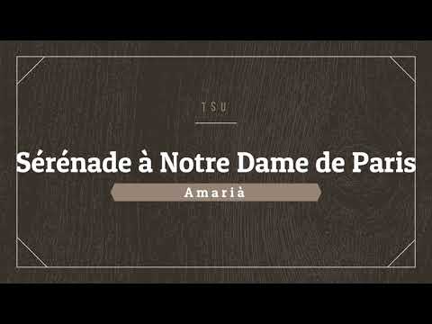Instrumental - Sad -  Sérénade à Notre Dame de Paris