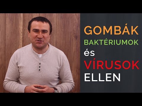Humán papilloma vírus shqip