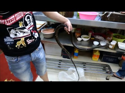 GIANT SNAKE SOUP - CHINESE STREET FOOD
