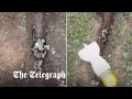 Moment Russian soldier catches and throws away Ukrainian 'drone bombs'