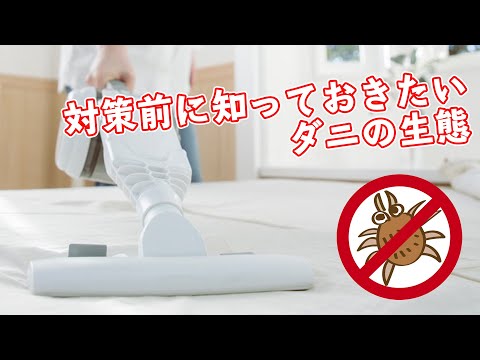 鶏のワクモの治療法は何ですか?イエダニを駆除するために取るべき手順  庭園