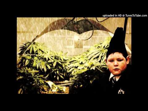 'CASINI AD HOGWARTS' FREESTYLE - MARVIN KROKKA DIO aka SPIKE