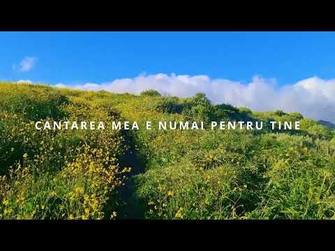 Grupaj cântări creștine 12 iulie 2024 - Mariana Someșan