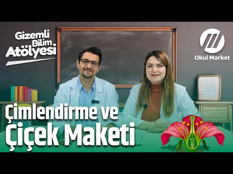 Çimlendirme ve Oyun Hamuru Çiçek Maketi Projesi