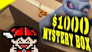 I BOUGHT A $1000 MYSTERY BOX!