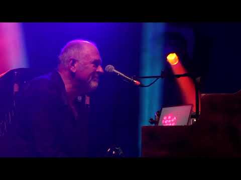 The SAS Band - For Your Love