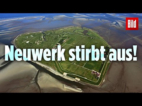 Hamburgs Insel Neuwerk stirbt aus: Nur noch 25 Bewohner!