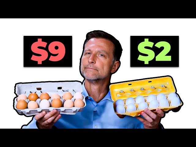 Are Expensive Eggs Really Worth It? SDDEFAULT Thumbnail
