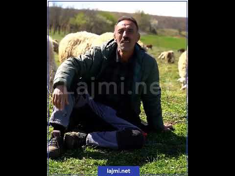 "Mos e lëshoni vendin, jetoj në Suedi, atje është mashtrim e shumë flejnë nëpër kontinjera"