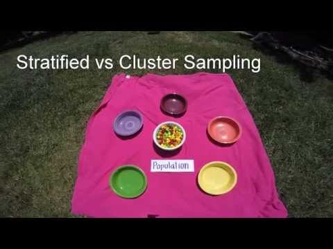Stratified v Cluster Sampling