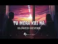 Apna Bana Le - [Slowed And Reverb] | Bhediya | Varun Dhawan, Kriti Sanon Arijit Singh | Half-Slowed