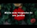 Rita Lee - Bem me quer (letras)