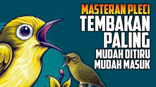 Download lagu Masteran Pleci Tembakan Paling Mudah Dituru Dan Paling Mudah Masuk mp3 Download lagu Masteran Pleci Tembakan Paling Mudah Dituru Dan Paling Mudah Masuk mp3