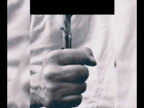 Besimi në Kaderin e Allahut - Shukri Aliu.