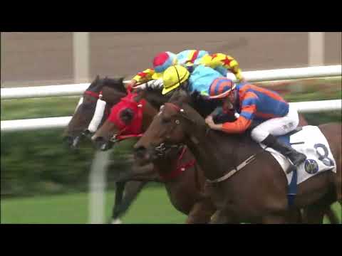 27/3/2022 (530) Go Go Sixteen - B Shinn