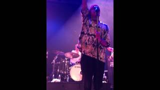 Livets samba Music Video