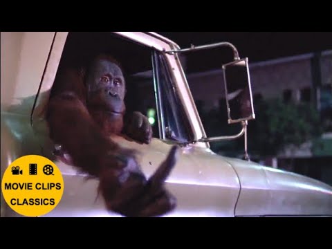 Any Which Way You Can (1980) - Right turn Clyde