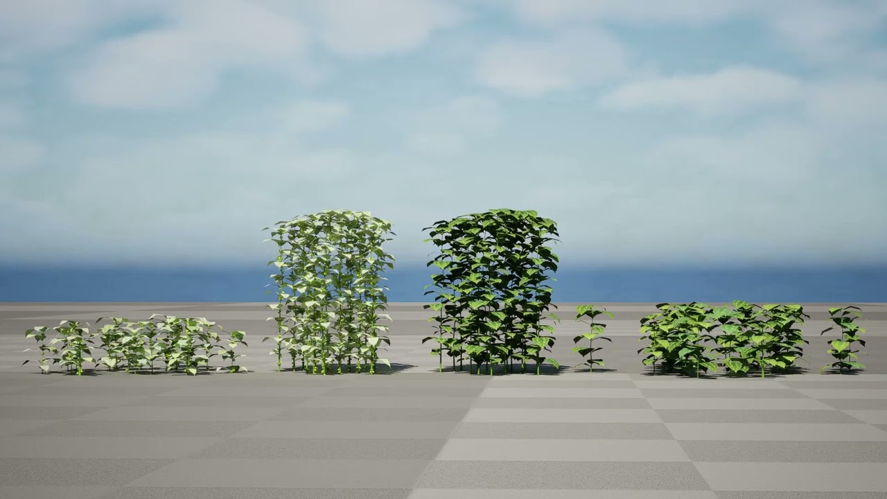 Lamium Galeobdolon 3D Ground Cover Pack 3D Model