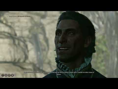 Raphael Won't Ally With Paladins | Unique Dialogues | Baldur's Gate 3