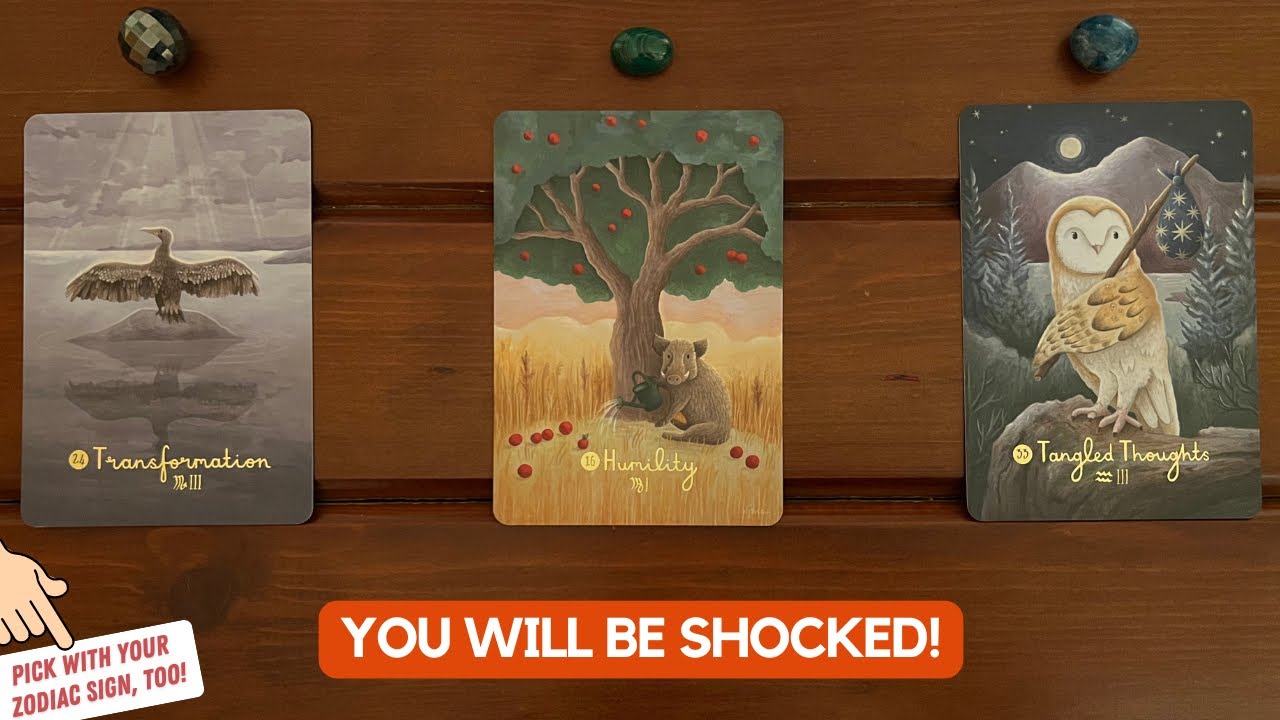 You Will Be Shocked! This New Experience Is Beautiful! | Timeless Reading