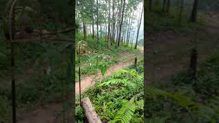 Download lagu MERBAH LEKIR Suara Panggil Suara Lawan Suara Pujuk Padu POWER MP3&4 mp3 Download lagu MERBAH LEKIR Suara Panggil Suara Lawan Suara Pujuk Padu POWER MP3&4 mp3