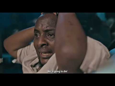 BUS 338 BUS 338 OFFICIAL TRAILER. trailer thumbnail