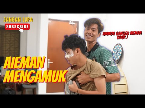 AIEMAN MENG4MUK !? - AMMOR GANGGU AIEMAN TIDUR !