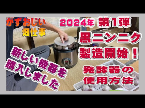 黒にんにく:発酵はこうなる 植物