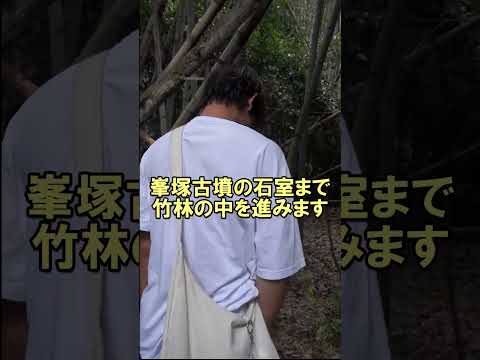 言語文化学科 【奈良大学 文学部 文化財学科トピックス】学外実習で古墳の石室まで入りました #奈良大学 #奈良大 #shorts