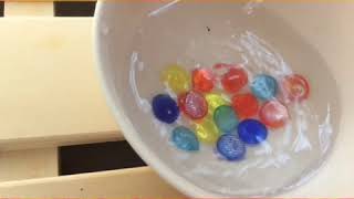 ギルちゃんの水槽を掃除します