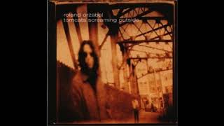 Roland Orzabal - Tomcats Screaming Outside