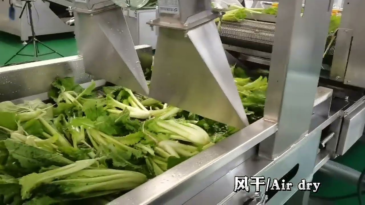 Leaf Vegatable washer and dryer processing machine ,Fresh Fruits and Vegetables Process Euiqments