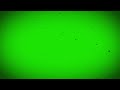 Green Screen Vintage Frame