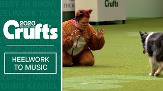 What does the fox say? Amazing dog dance routine at Crufts 2020