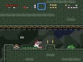 SMW Hack Vengeful Death Zone Level 1 TAS