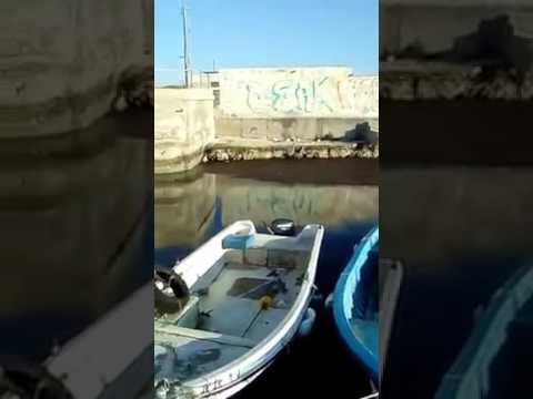 SIGNORA SCLERA per la situazione in un porto