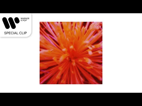 MILLIC - CLIONE (feat. Sion) [Lyric Video]