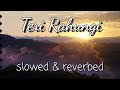 Teri Rahungi || lofi ~ slowed & reverbed || Ndee Kundu