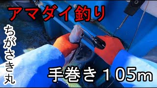 ちがさき丸アマダイ