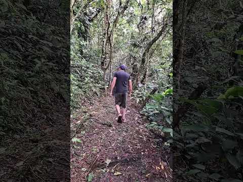 Reserva madre verde, en Palmares de Alajuela