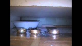 TIME LAPSE Homemade Ant killer borax and sugar