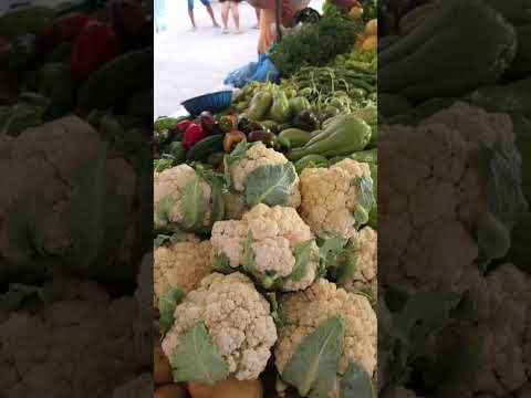 Fartura na feira de Agrestina-PE
